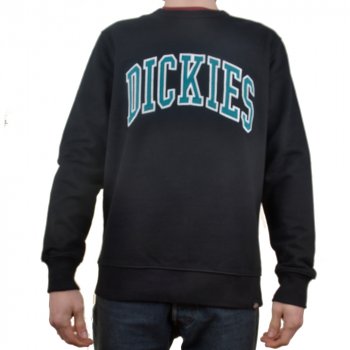 Dickies Aitkin black deep lake Sweater