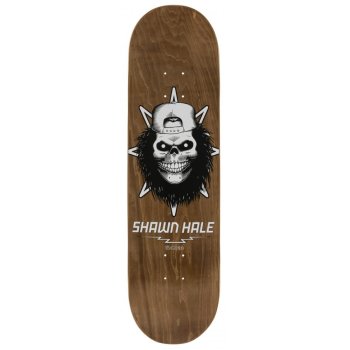Birdhouse Hale Skull 8.5 Deck