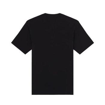Dickies Mapleton SS black T-Shirt