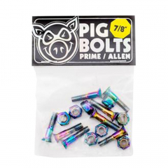 Pig 7/8 holographic Innensechskant Schrauben