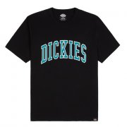Dickies Aitkin Logo deep lake T-Shirt
