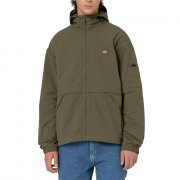 Dickies Jackson military green Chaqueta