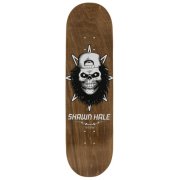 Birdhouse Hale Skull 8.5 Deck