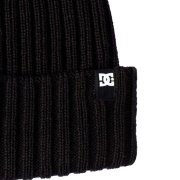 DC Fish N Destroy 2 black Beanie